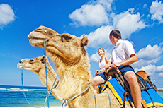 Cabo San Lucas Camel Ride cruise excursion